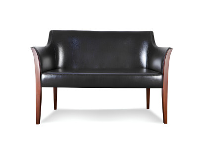 Mūsdienīgs ādas dīvāns