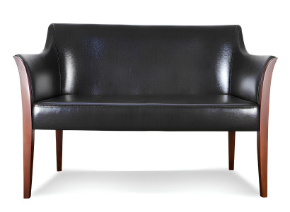 Mūsdienīgs ādas dīvāns