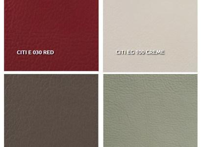 Funkcionāls divvietīgs dīvāns no 100 % itāļu ādas