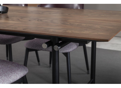 Luksusa ēdamgalds, praktisks galds, koka mēbeles