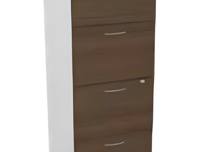 Luksusa dokumentu skapis baltā un brūnā koka