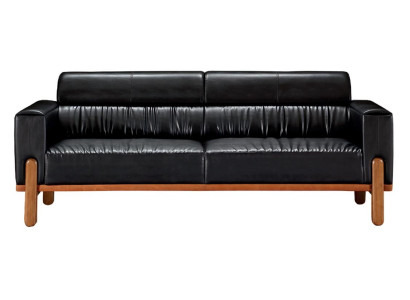 2-vietīgs dīvāns viesistabai ar polsterējumu izcilības estētika elegants divām vietām