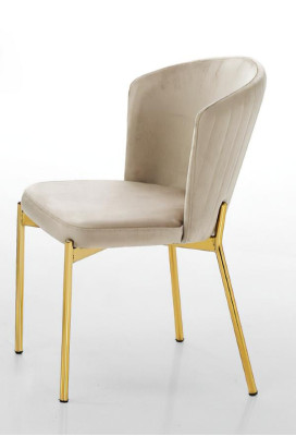 Ēdamistabas krēsls, viesistabas krēsls, bežs, koks, nerūsējošais tērauds