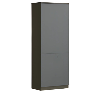 Mūsdienīga pelēka biroja skapja ar slēdzenēm