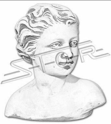 Eva bustas skulptūras dizains figūru statuja dārza statujas dekoratīvās statujas