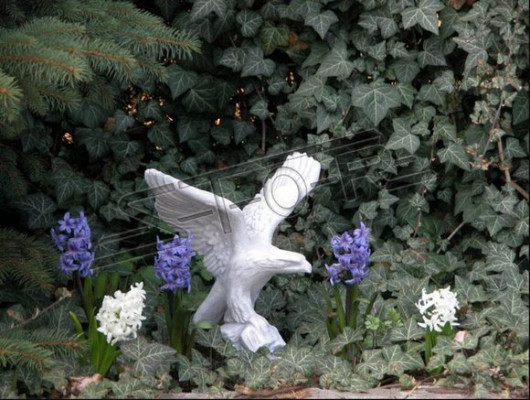 Figūra ērglis Dārzs Statuja Skulptūra Skulptūras Figūras Statujas Dekoratīvs