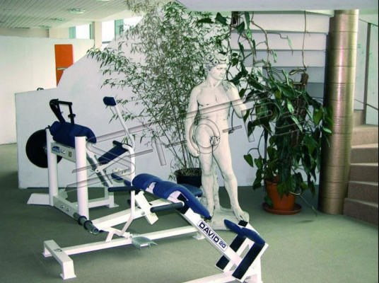 Ādams 170 cm skulptūras dizaina figura statuja dārza figūra statuja