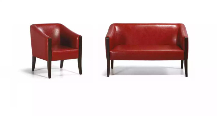 Dīvāns 2-vietīgs Darbistaba Stils Moderns Tekstils Mēbeles Birojmēbeles Lux Couch