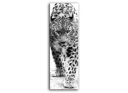 Attēls Attēli Gleznas Druka Mākslas druka Pamatne Kultūra "Abstrakts" Leopard G92850