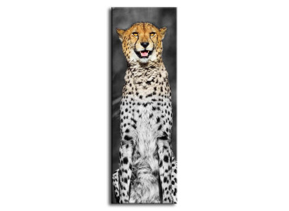 Attēls Attēli Gleznas Druka Mākslas reprodukcija Paklājs Kultūra " Abstraktais " Leopard G92855
