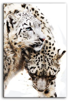 Attēls Attēli Gleznas Druka Mākslas druka Pildspalvi Kultūra "Abstrakts" Leopards G92784