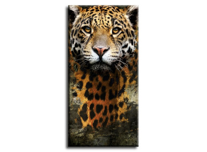 Attēls Attēli Gleznas Drukāt Mākslas druka Jumts Kultūra "Abstrakts" Tigers G93243
