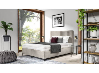 Divu guļamistabu dizaina luksusa divvietīga gulta mūsdienīgā stilā.