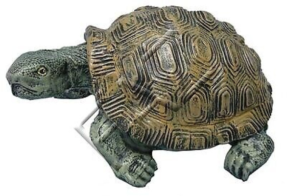 Dizains bruņurupucis figūra statuja skulptūra figūras skulptūras dārza deko statujas