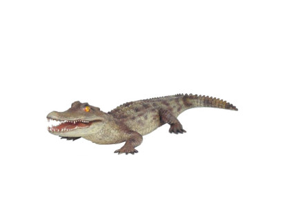 Krokodilu dārza deko dzīvuma izmēra statuja figūra skulptūra 198cm statuja figūra