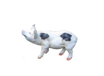 Dekorācijas dārza figūra Statuja Figūras Statujas Deko Jaunas skulptūras cūka 40cm.