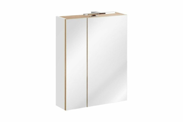 Spoguļskapis Vannas istabas skapis Vannas istabas spogulis 60x16x75 cm Skapji