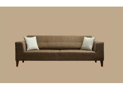 Dzīvojamā istaba Dīvāns 3 vietas Dienvieta Trīsvietīgs Polsterēts auduma dīvāns Tekstils