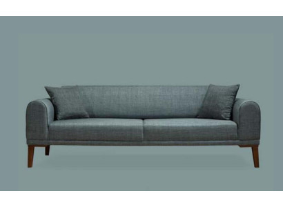 Luksusiska Modernā Sofa 3 Vietais Dizaina sofa Trīsvietīgais Pārklājums Koks