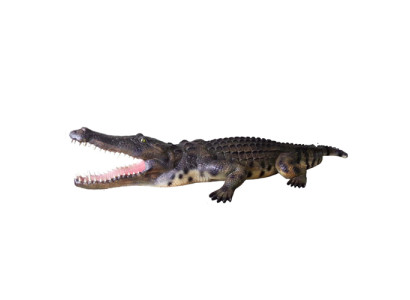 Krokodils dārza dekora dzīvīgā izmēra statuja figūra skulptūra 320cm statujas figūra