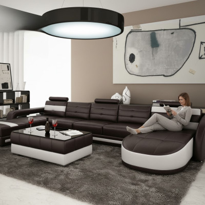 LEDERSOFA DIVĀNSTENDS AR USB DIZAINERU PISA DZĪVNIEKU ZONA DĪVĀNS SOFA U FORMAS COLO 3
