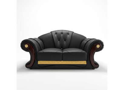 Chesterfield divvietīgs dīvāns dizains Mēbeles Klasiskie dīvāni Iekārtojums