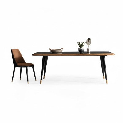 Ēdamgalds Stikla galds ēdamistaba Galdi 210x100 Ēdamgaldi 210x100cm