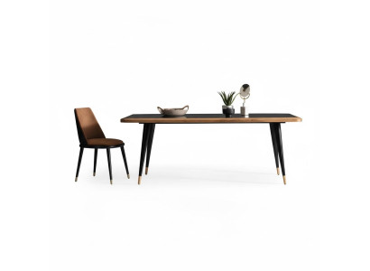 Ēdamgalds Stikla galds ēdamistaba Galdi 210x100 Ēdamgaldi 210x100cm