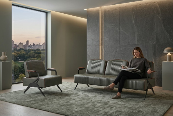 Sofas komplekts 2 luksusa mēbeles dīvāns trijos vietās darba telpas iekārtojums