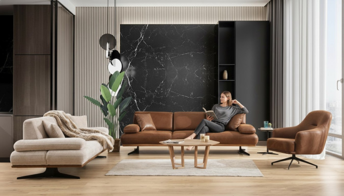 Sofa sērijas sofa četrvietīgs moderns trīsvietīgs dīvāns dzīvojamā istaba krēsla jauns