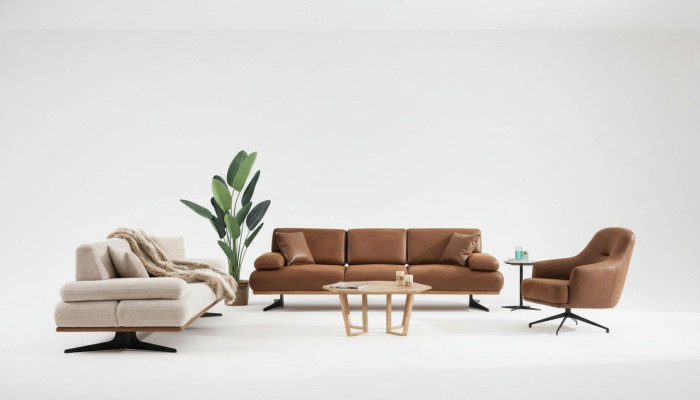 Sofa sērijas sofa četrvietīgs moderns trīsvietīgs dīvāns dzīvojamā istaba krēsla jauns