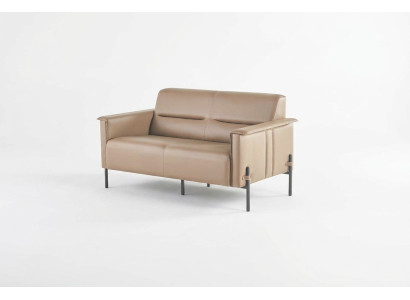 Dīvāns Beža 2-vietīgā sofa Moderns ādas dīvāns Sēdvietas divsēdvietīgs āda