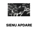 Sienu apdare - Stilīgi un izturīgi dizaini