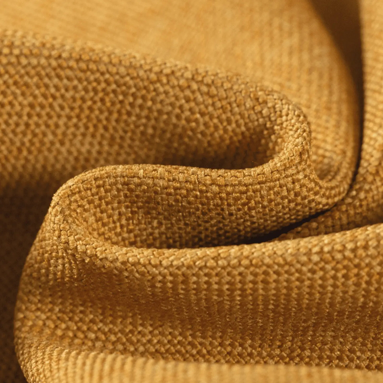 cloth